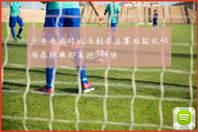 少年老成对比马刺季后赛经验仅46场森林狼却高达344场