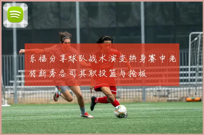 乐福分享球队战术演变热身赛中老将新秀各司其职投篮与抢板